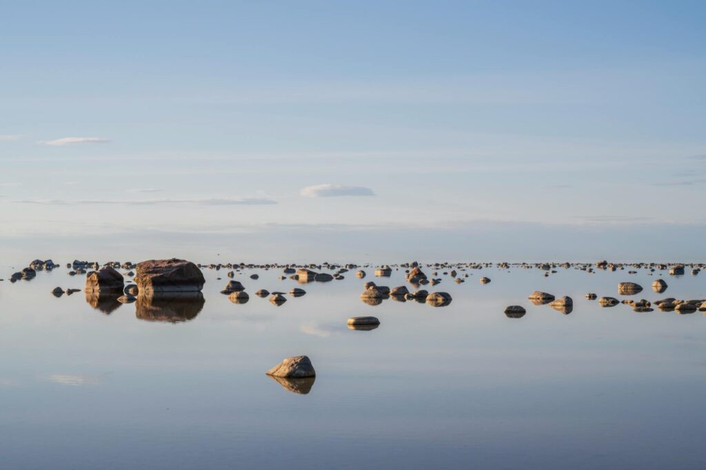 E Estonia Program (2026 Guide)